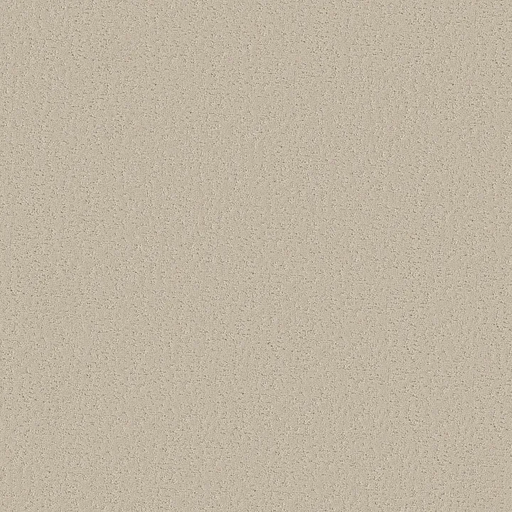 Shaw Floors Crafted Tone — Baja · 5E918-00106 — flooring selection with LeviArs Design & Remodeling