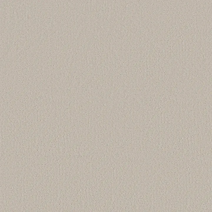 Shaw Floors Crafted Tone — Cool Winter · 5E918-00107 — flooring selection with LeviArs Design & Remodeling