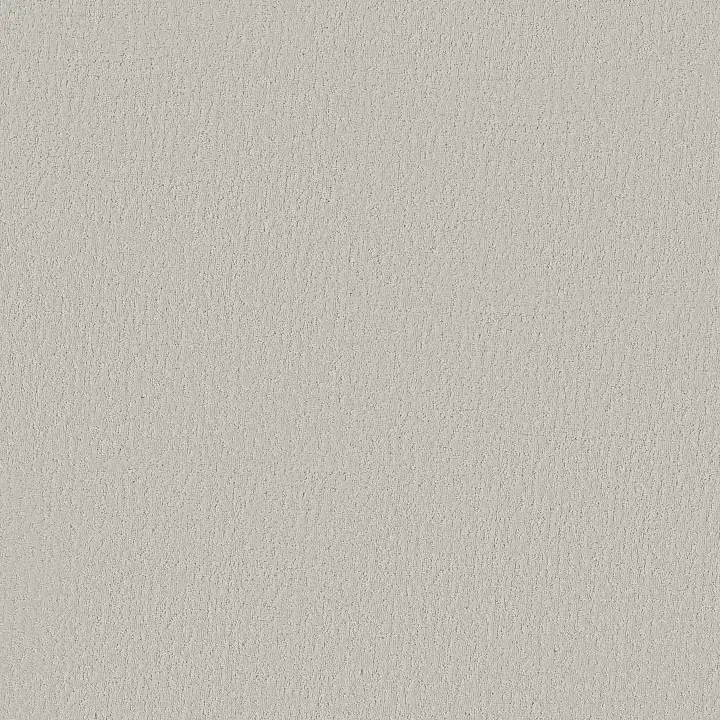 Shaw Floors Crafted Tone — Minimalist · 5E918-00500 — flooring selection with LeviArs Design & Remodeling