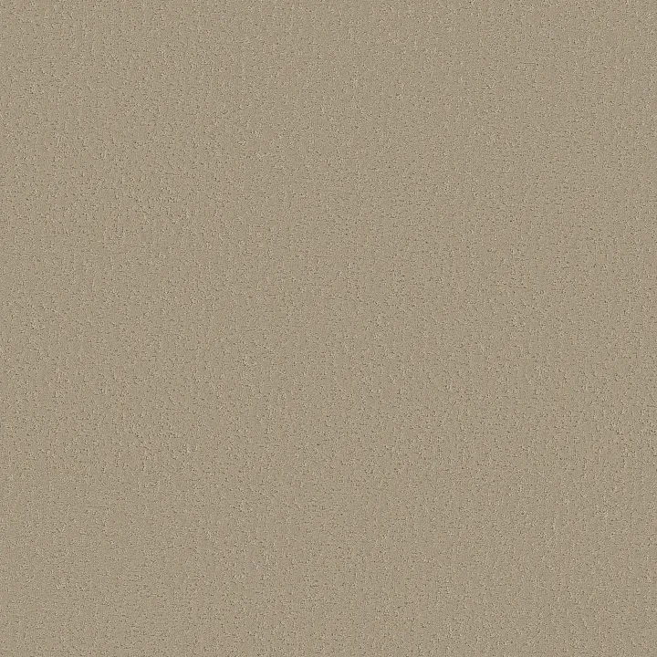 Shaw Floors Crafted Tone — Mirage · 5E918-00703 — flooring selection with LeviArs Design & Remodeling