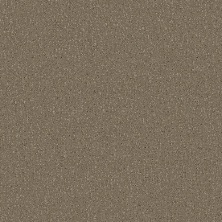 Shaw Floors Crafted Tone — Natural Stone · 5E918-00704 — flooring selection with LeviArs Design & Remodeling