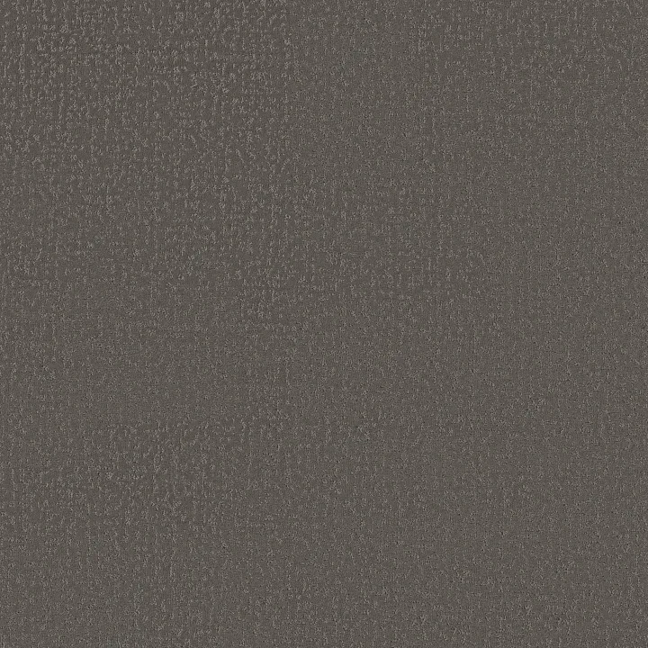 Shaw Floors Crafted Tone — Night Owl · 5E918-00750 — flooring selection with LeviArs Design & Remodeling