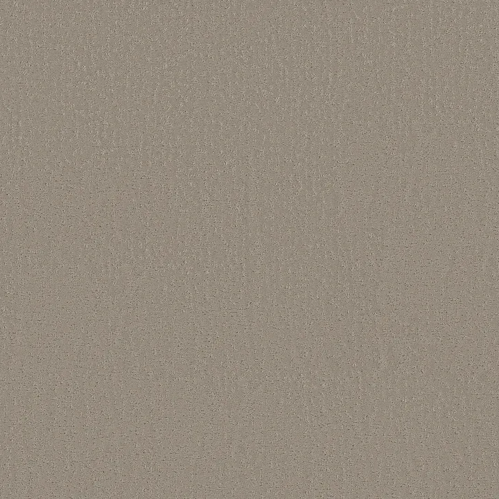 Shaw Floors Crafted Tone — Pebble Path · 5E918-00104 — flooring selection with LeviArs Design & Remodeling