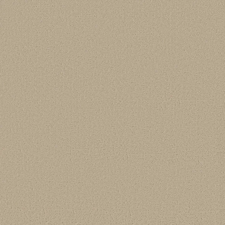 Shaw Floors Crafted Tone — Safari · 5E918-00110 — flooring selection with LeviArs Design & Remodeling