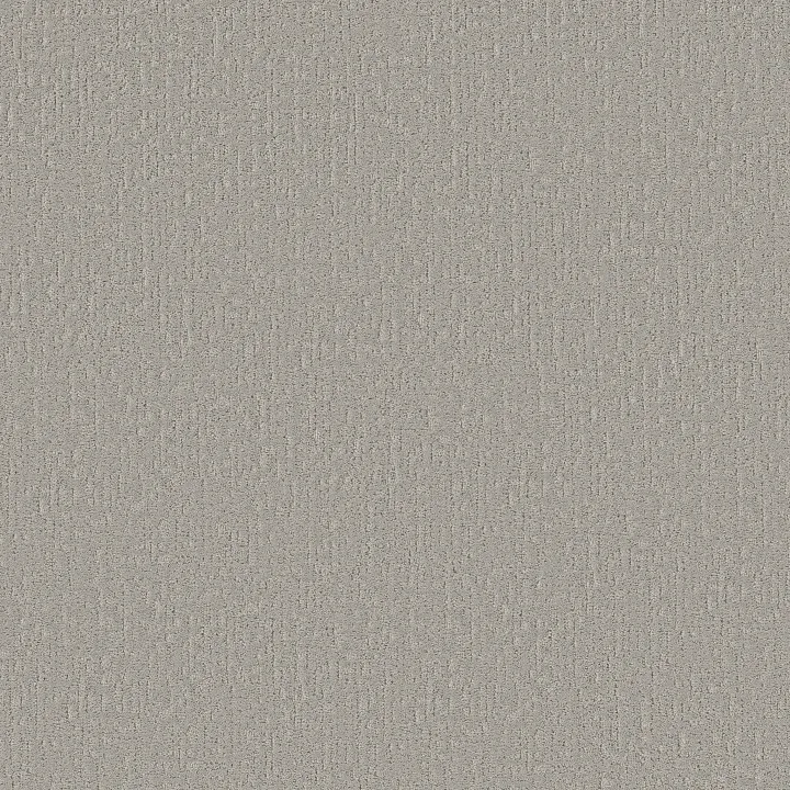 Shaw Floors Curated Tone — Distant Star · 5E919-00501 — flooring selection with LeviArs Design & Remodeling