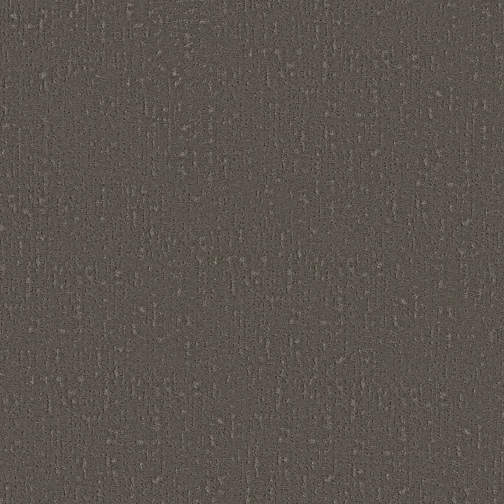 Shaw Floors Curated Tone — Night Owl · 5E919-00750 — flooring selection with LeviArs Design & Remodeling