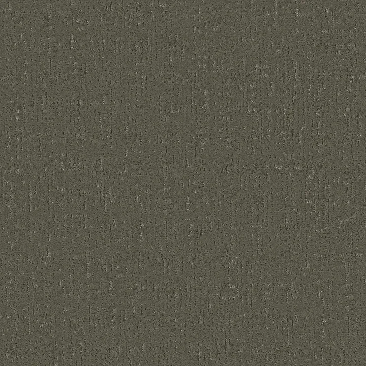 Shaw Floors Curated Tone Blue — Olive Tree · 5E940-00300 — flooring selection with LeviArs Design & Remodeling