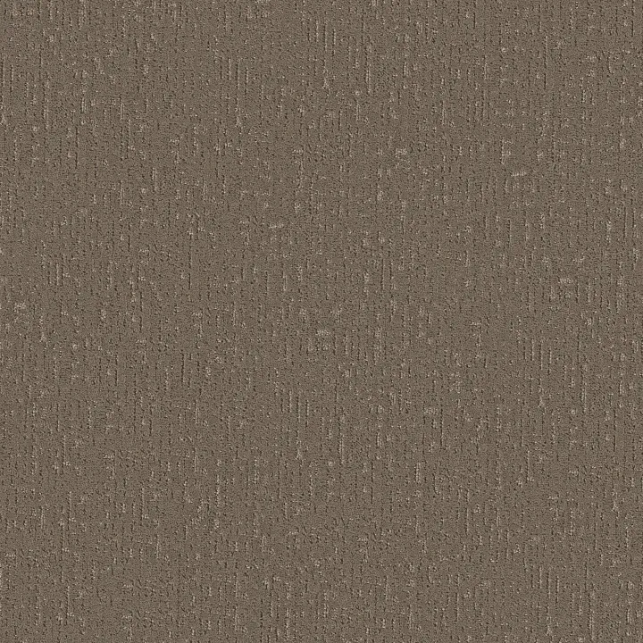 Shaw Floors Curated Tone — Ridgeline · 5E919-00701 — flooring selection with LeviArs Design & Remodeling
