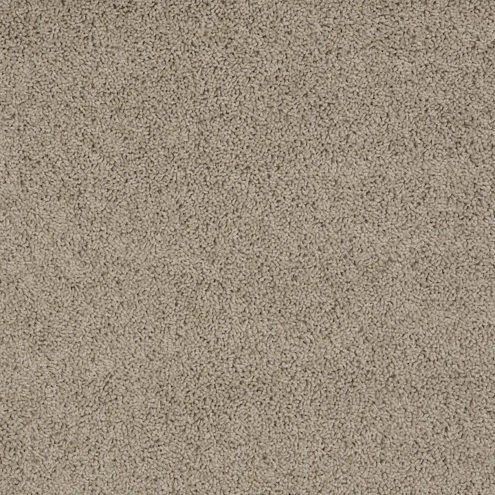 Shaw Floors Del Morro — Agate · ZZ021-00712 — flooring selection with LeviArs Design & Remodeling