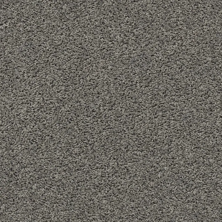 Shaw Floors Del Morro — Anchor · ZZ021-00555 — flooring selection with LeviArs Design & Remodeling
