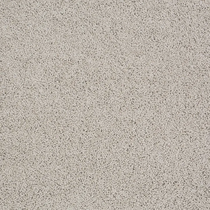 Shaw Floors Del Morro — Cement · ZZ021-00512 — flooring selection with LeviArs Design & Remodeling