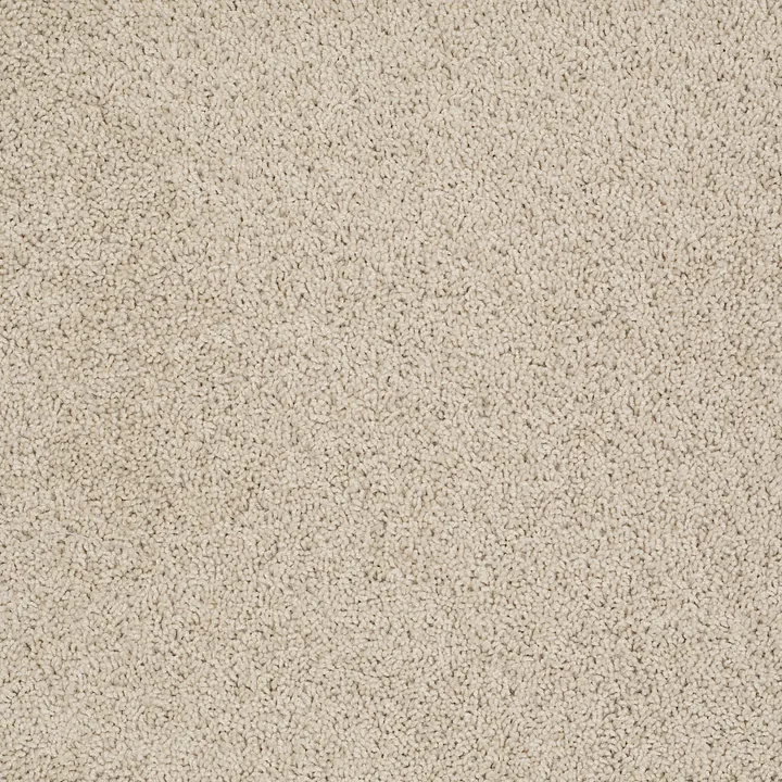 Shaw Floors Del Morro — Chic Cream · ZZ021-00112 — flooring selection with LeviArs Design & Remodeling