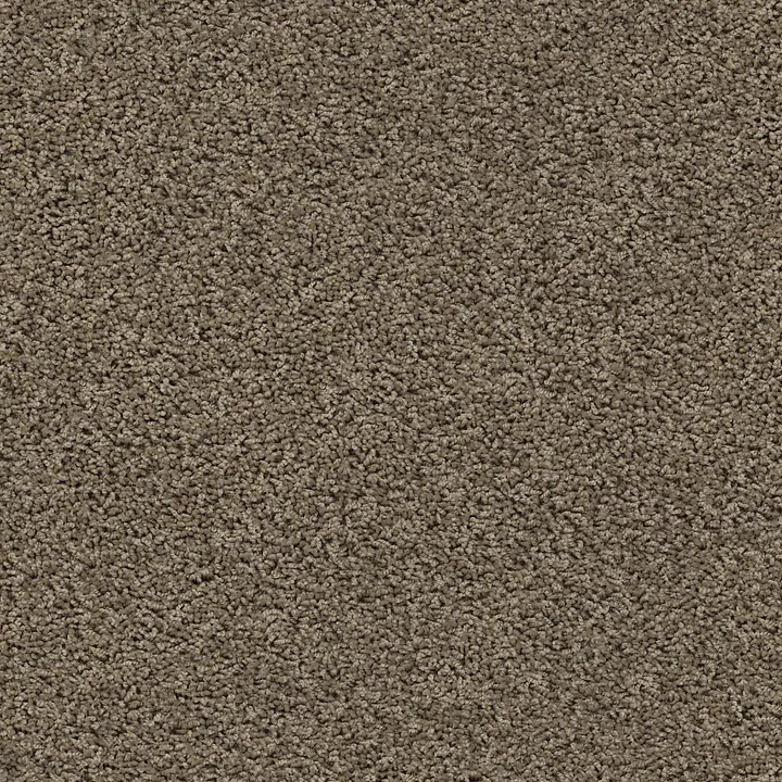 Shaw Floors Del Morro — Denali · ZZ021-00518 — flooring selection with LeviArs Design & Remodeling