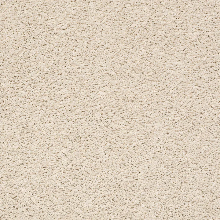 Shaw Floors Del Morro — Desert Star · ZZ021-00114 — flooring selection with LeviArs Design & Remodeling