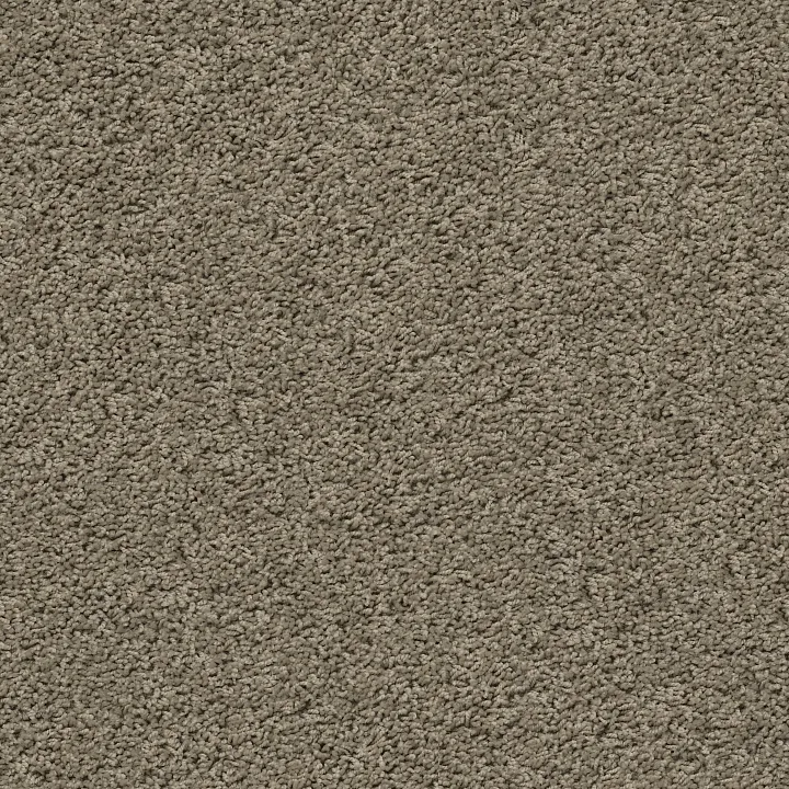 Shaw Floors Del Morro — Drift · ZZ021-00714 — flooring selection with LeviArs Design & Remodeling