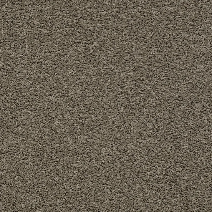 Shaw Floors Del Morro — Fallen Rock · ZZ021-00517 — flooring selection with LeviArs Design & Remodeling