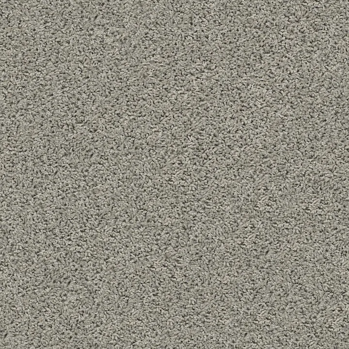 Shaw Floors Del Morro — Legendary · ZZ021-00552 — flooring selection with LeviArs Design & Remodeling