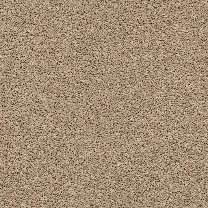 Shaw Floors Del Morro — Midland · ZZ021-00119 — flooring selection with LeviArs Design & Remodeling