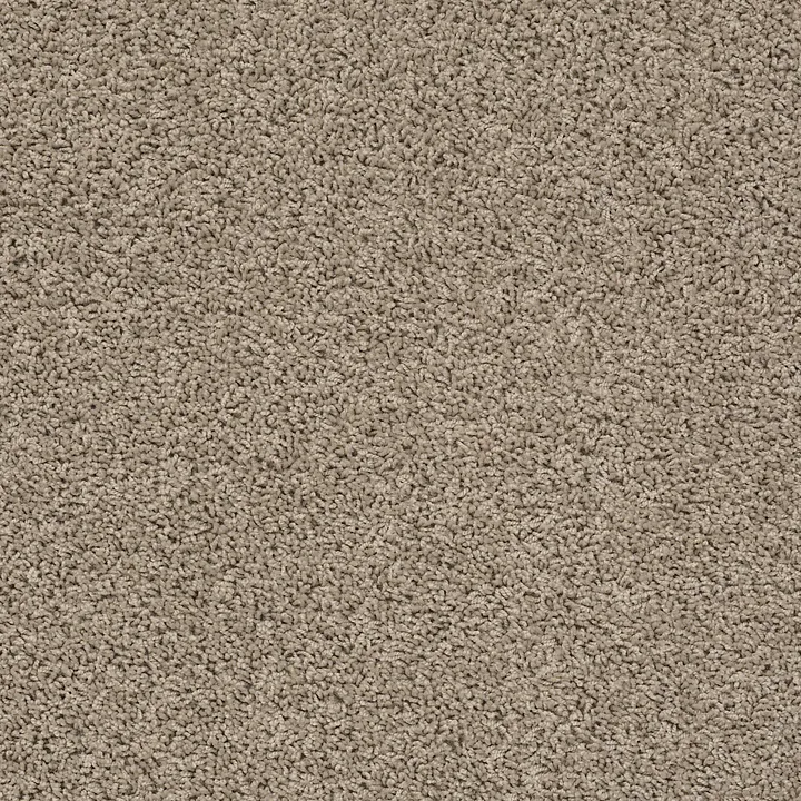 Shaw Floors Del Morro — Nomadic · ZZ021-00513 — flooring selection with LeviArs Design & Remodeling