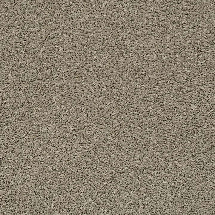 Shaw Floors Del Morro — Serene · ZZ021-00516 — flooring selection with LeviArs Design & Remodeling