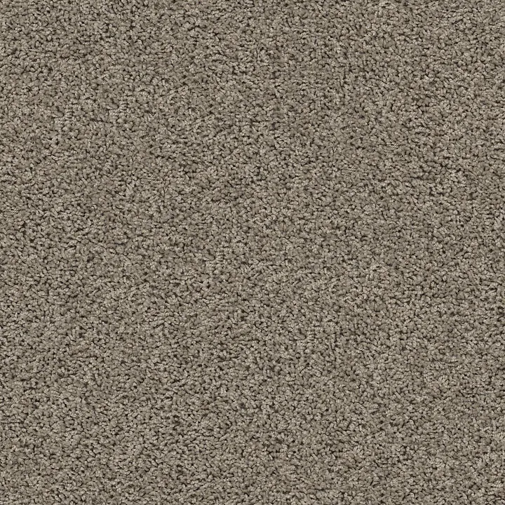 Shaw Floors Del Morro — Silhouette · ZZ021-00524 — flooring selection with LeviArs Design & Remodeling