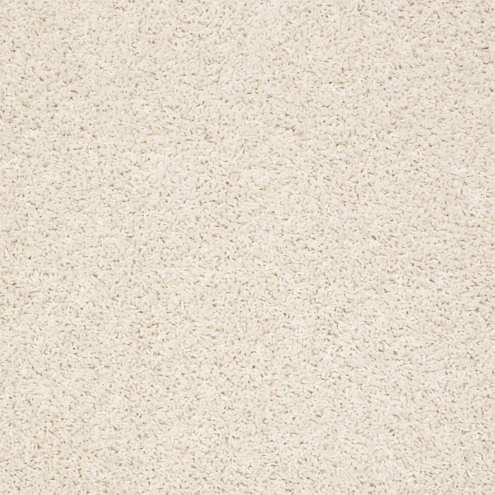 Shaw Floors Del Morro — Swan · ZZ021-00110 — flooring selection with LeviArs Design & Remodeling