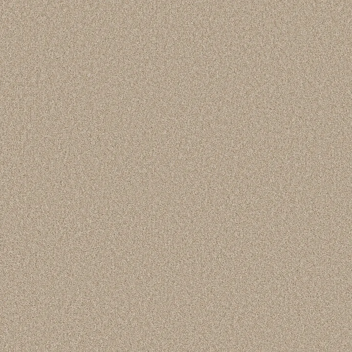 Shaw Floors Del Rio I — Cream · 5E825-00151 — flooring selection with LeviArs Design & Remodeling
