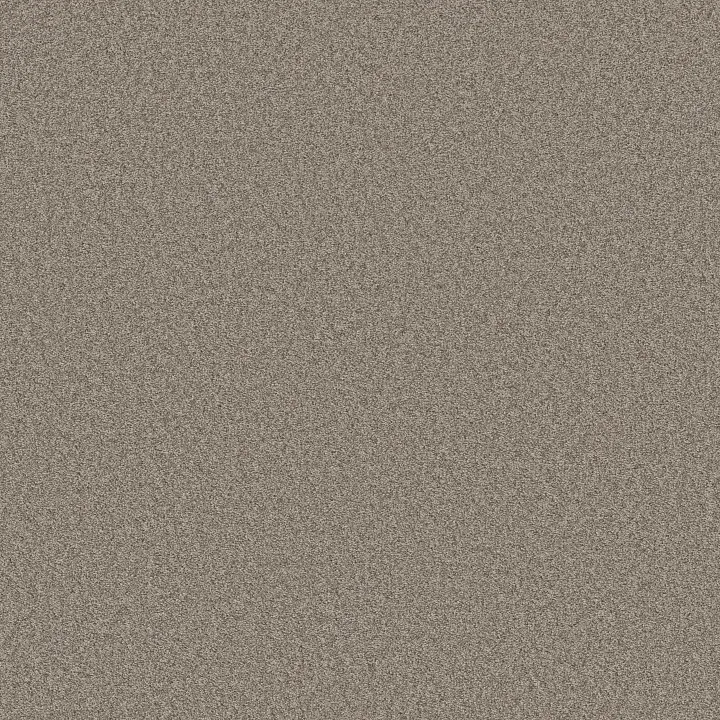 Shaw Floors Del Rio II — Driftwood · 5E826-00751 — flooring selection with LeviArs Design & Remodeling