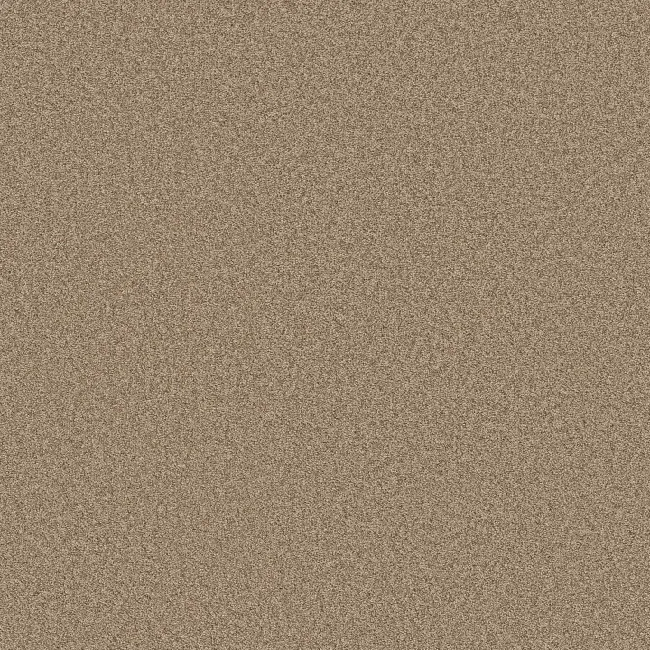 Shaw Floors Del Rio II — Dune · 5E826-00750 — flooring selection with LeviArs Design & Remodeling