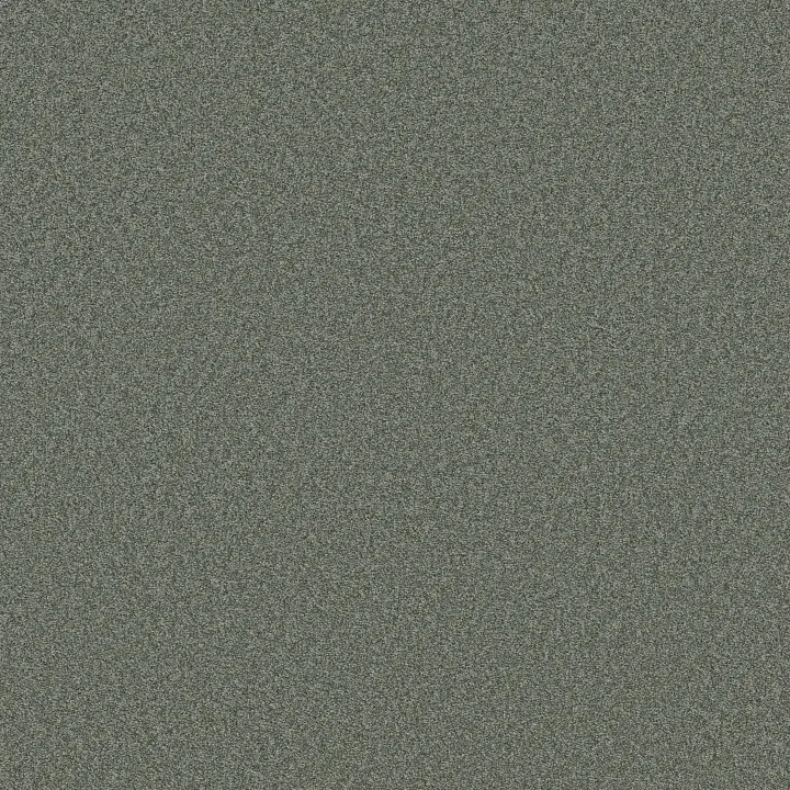 Shaw Floors Del Rio I — Evergreen · 5E825-00350 — flooring selection with LeviArs Design & Remodeling
