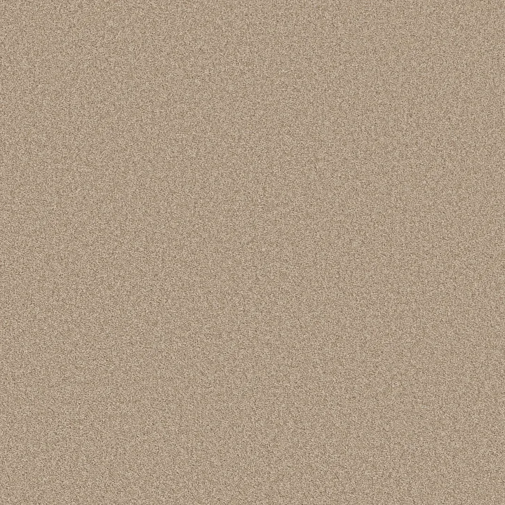 Shaw Floors Del Rio I — Hayloft · 5E825-00152 — flooring selection with LeviArs Design & Remodeling