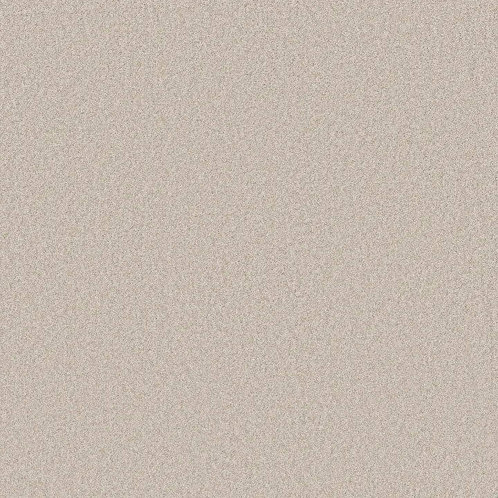 Shaw Floors Del Rio I — Linen · 5E825-00150 — flooring selection with LeviArs Design & Remodeling