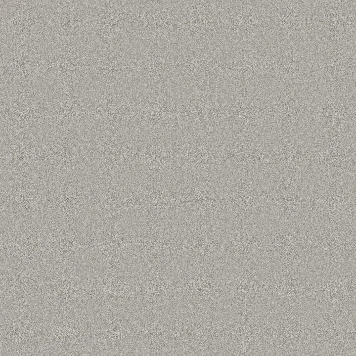 Shaw Floors Del Rio II — Vanity · 5E826-00550 — flooring selection with LeviArs Design & Remodeling