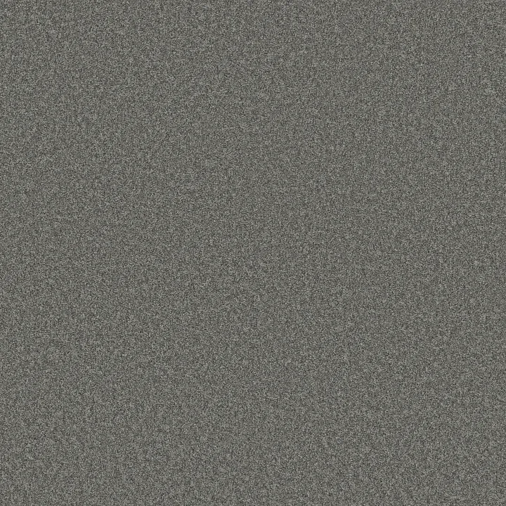 Shaw Floors Del Rio II — Zinc · 5E826-00551 — flooring selection with LeviArs Design & Remodeling