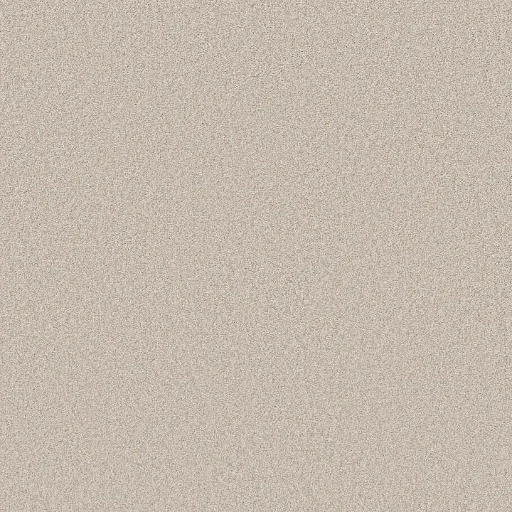 Shaw Floors Del Rio II — Linen · 5E826-00150 — flooring selection with LeviArs Design & Remodeling