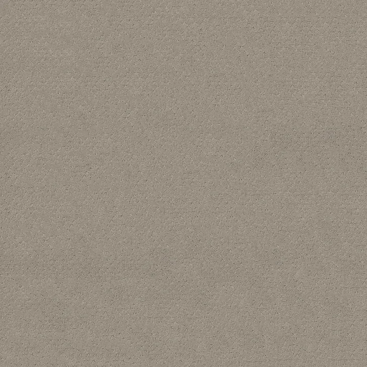 Shaw Floors Del Vista — Ash Mist · ZZ262-00511 — flooring selection with LeviArs Design & Remodeling