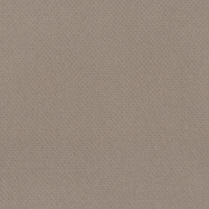 Shaw Floors Del Vista — Barista · ZZ262-00752 — flooring selection with LeviArs Design & Remodeling