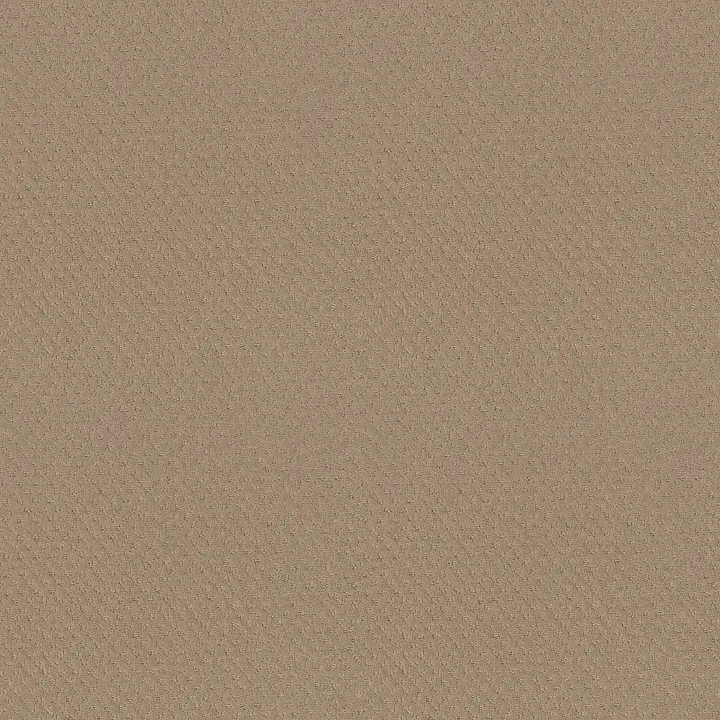 Shaw Floors Del Vista — Beach Grass · ZZ262-00117 — flooring selection with LeviArs Design & Remodeling