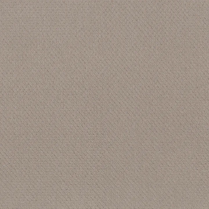 Shaw Floors Del Vista — Bit Of Gray · ZZ262-00552 — flooring selection with LeviArs Design & Remodeling