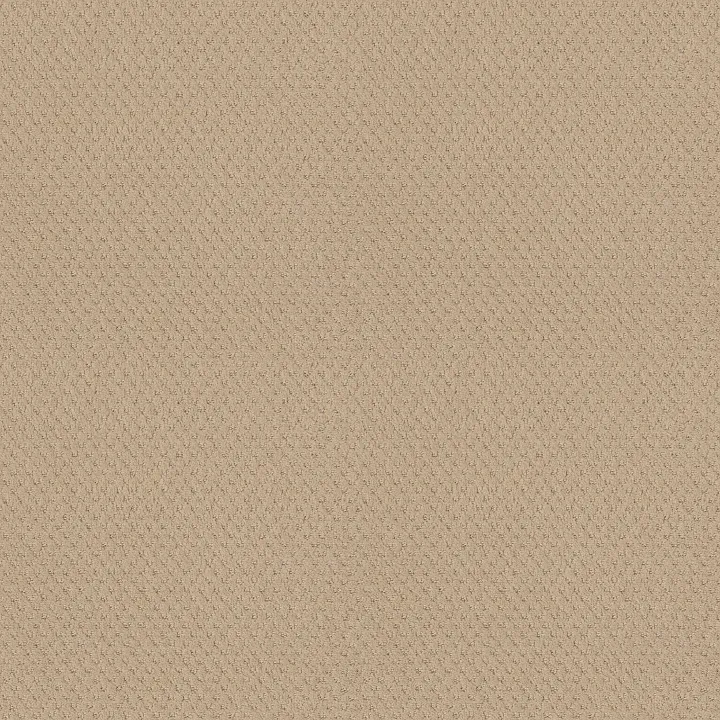 Shaw Floors Del Vista — Cornflower · ZZ262-00212 — flooring selection with LeviArs Design & Remodeling