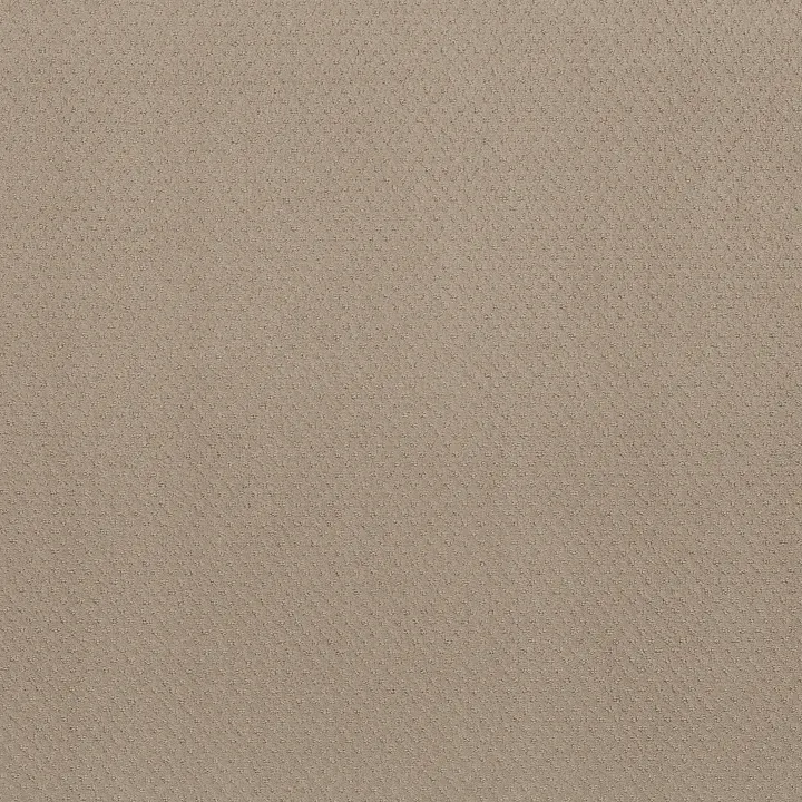 Shaw Floors Del Vista — Dune · ZZ262-00152 — flooring selection with LeviArs Design & Remodeling