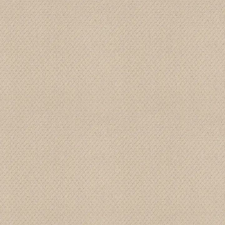 Shaw Floors Del Vista — Ivory · ZZ262-00120 — flooring selection with LeviArs Design & Remodeling