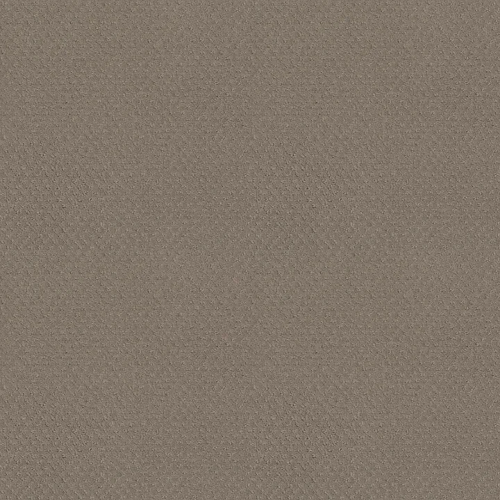Shaw Floors Del Vista — Koala · ZZ262-00553 — flooring selection with LeviArs Design & Remodeling