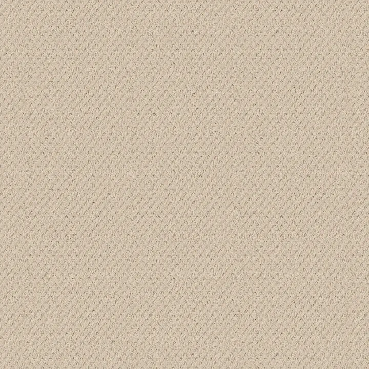 Shaw Floors Del Vista — Linen · ZZ262-00121 — flooring selection with LeviArs Design & Remodeling