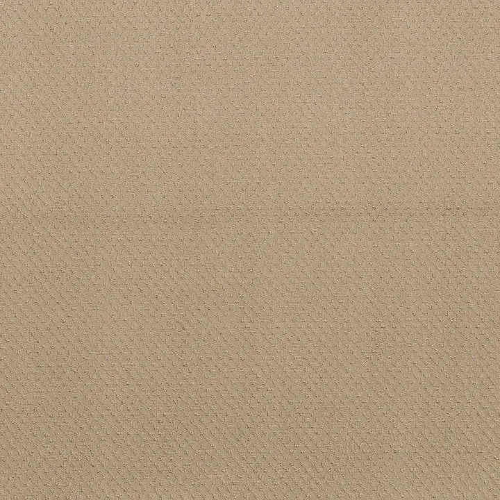 Shaw Floors Del Vista — Magic · ZZ262-00214 — flooring selection with LeviArs Design & Remodeling
