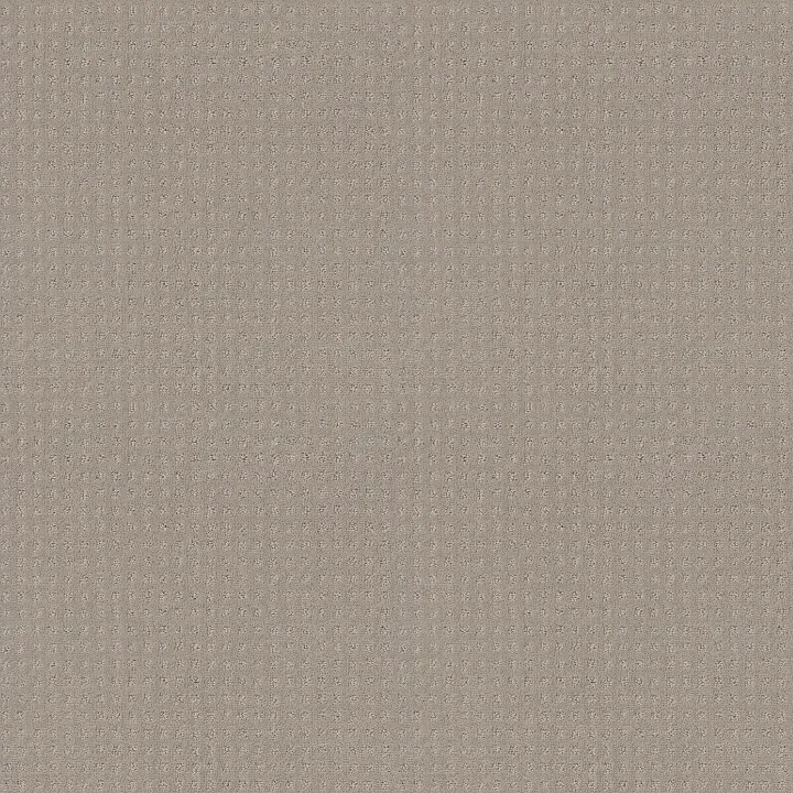 Shaw Floors Del Vista — Pewter · ZZ262-00558 — flooring selection with LeviArs Design & Remodeling