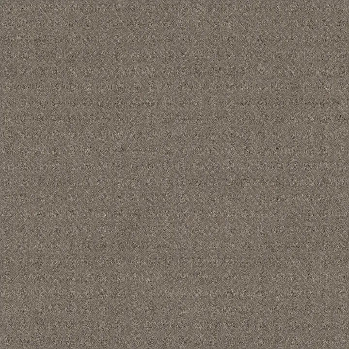 Shaw Floors Del Vista — Riverbank · ZZ262-00575 — flooring selection with LeviArs Design & Remodeling