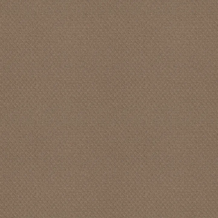 Shaw Floors Del Vista — Sierra Hills · ZZ262-00174 — flooring selection with LeviArs Design & Remodeling