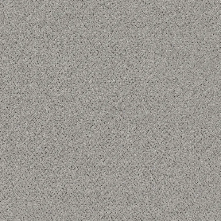 Shaw Floors Del Vista — Silver Fox · ZZ262-00541 — flooring selection with LeviArs Design & Remodeling