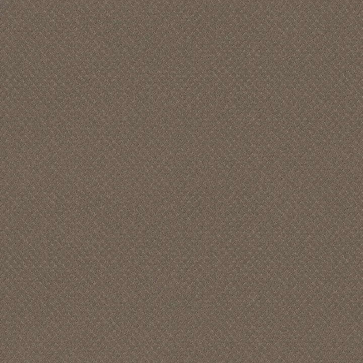 Shaw Floors Del Vista — Smokestack · ZZ262-00756 — flooring selection with LeviArs Design & Remodeling